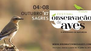 Algarve_Birdwatching_2017
