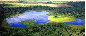 Brasil_Pantanal