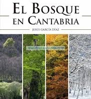 Cantabria_Bosque