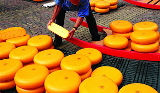 Holanda_queso