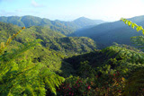 Jamaica_Blue_Mountains_0