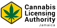 Jamaica_Cannabis