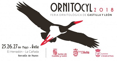 OrnitoCyl