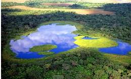 Pantanal en Brasil