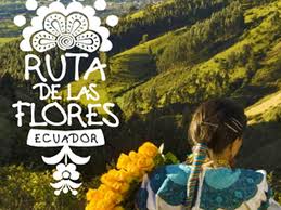 Ecuador_Ruta_Flores
