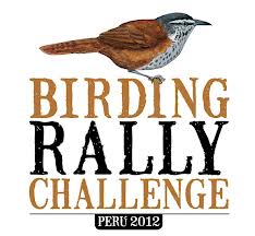 Peru_Birding_Rally