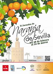 Sevilla_naranjas