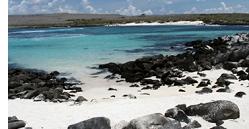 Playa de una isla de Galápagos
