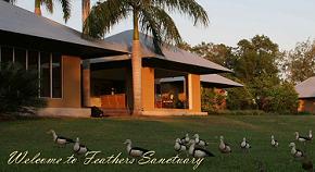 Feathers Sanctuary