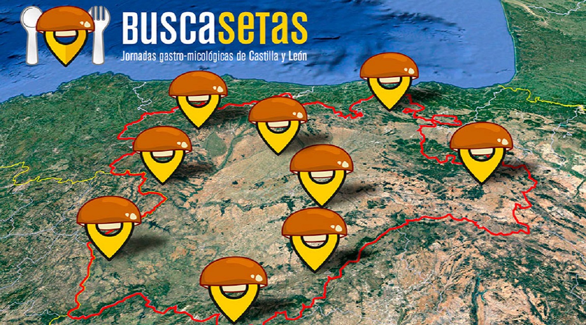 Buscasetas_2019