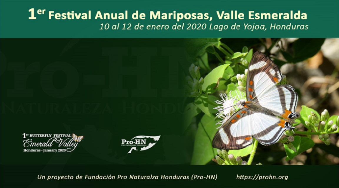 Honduras Mariposas