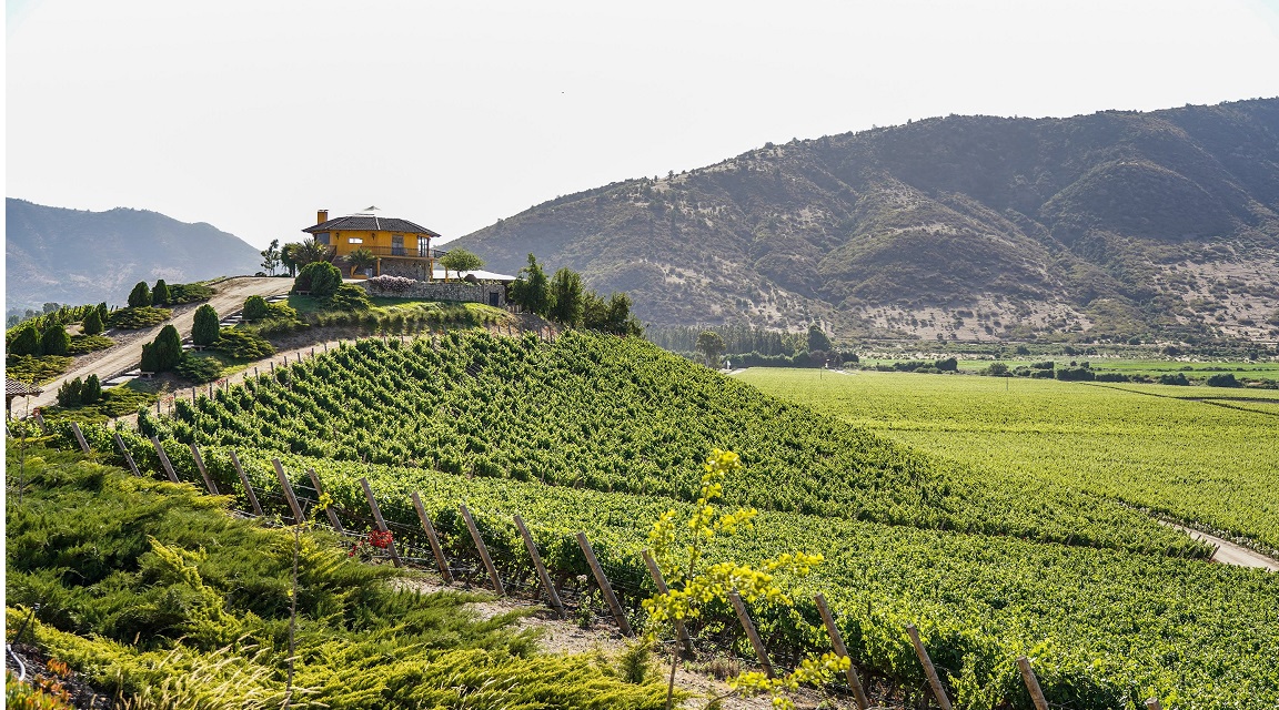 Chile Enoturismo