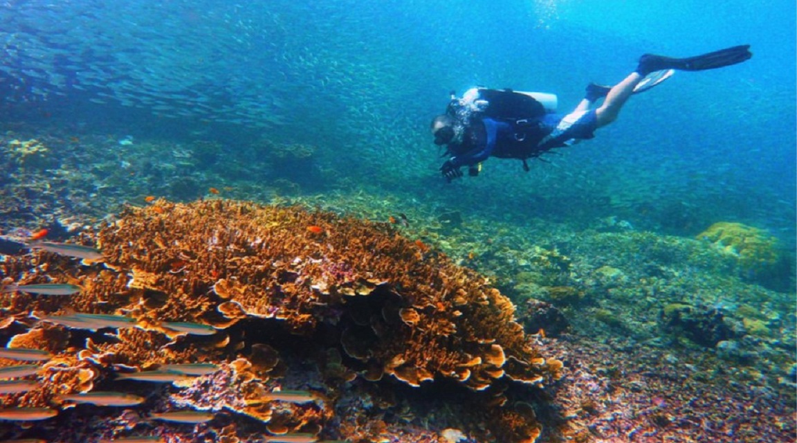 Buceo en Filipinas