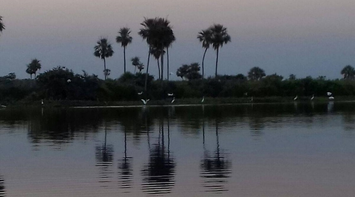 Paraguay Pantanal