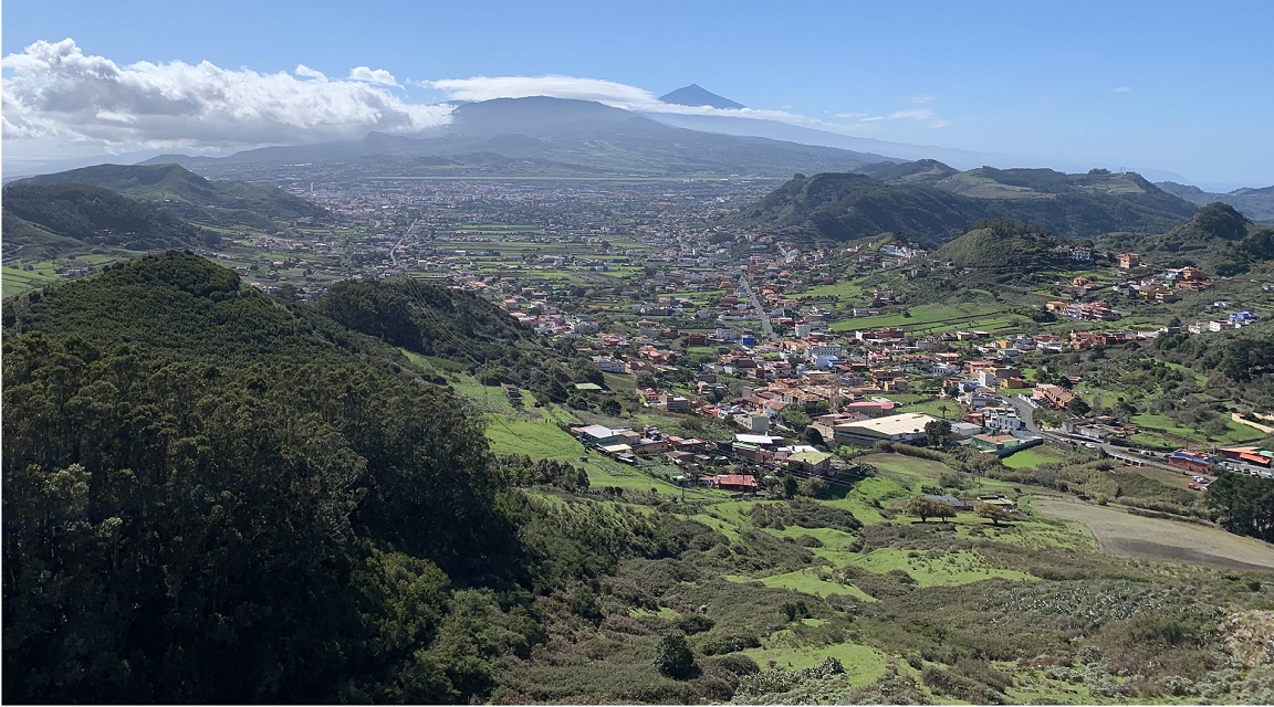 Tenerife Corredor