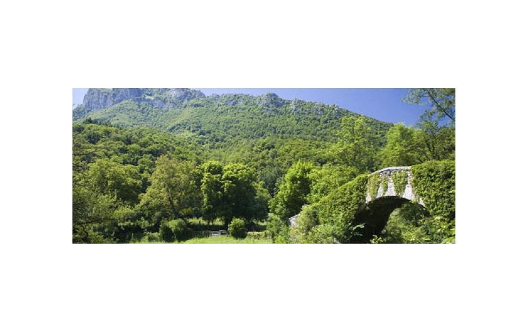 Redes, Asturias