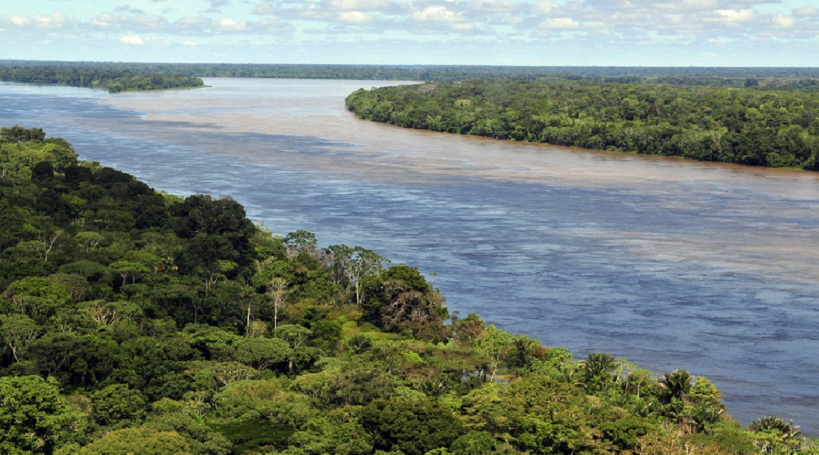 Amazonas Brasil