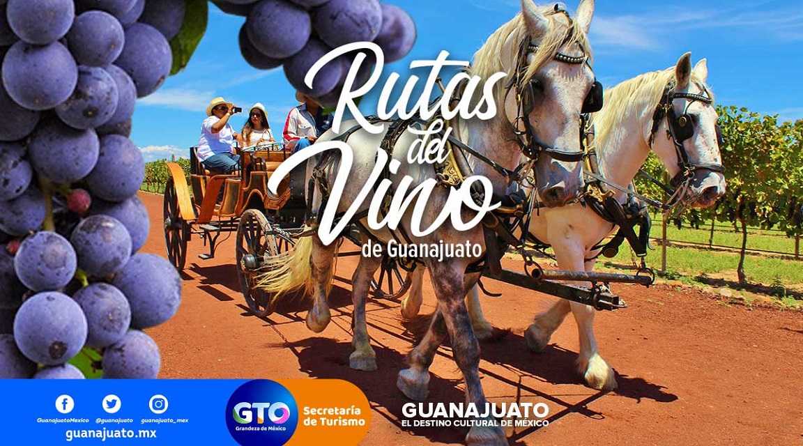 Rutas del Vino GUANAJUATO