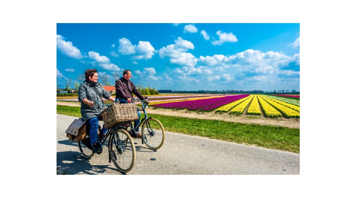 Holanda_Paises_Bajos