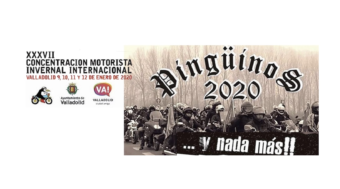 Pingüinos 2020