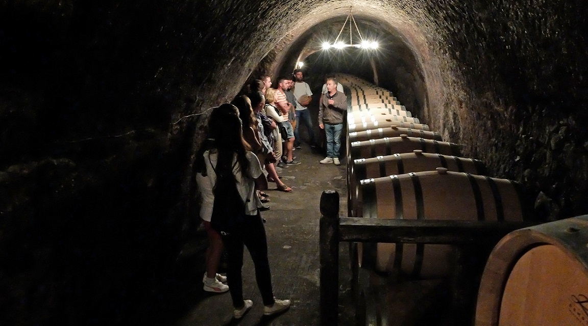 Ruta_Vino_Ribera_Duero_bodega