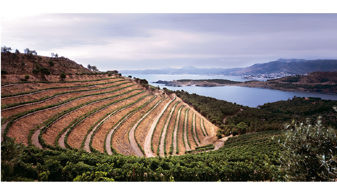 Rutas del Vino España