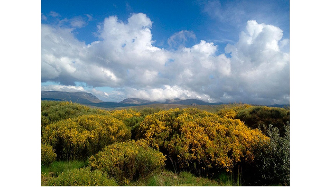 Gredos Norte