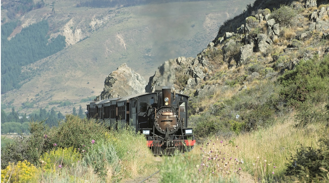 La Trochita