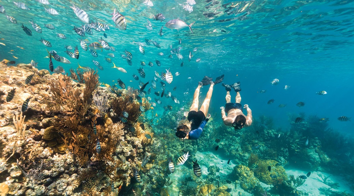 Bahamas Submarinismo