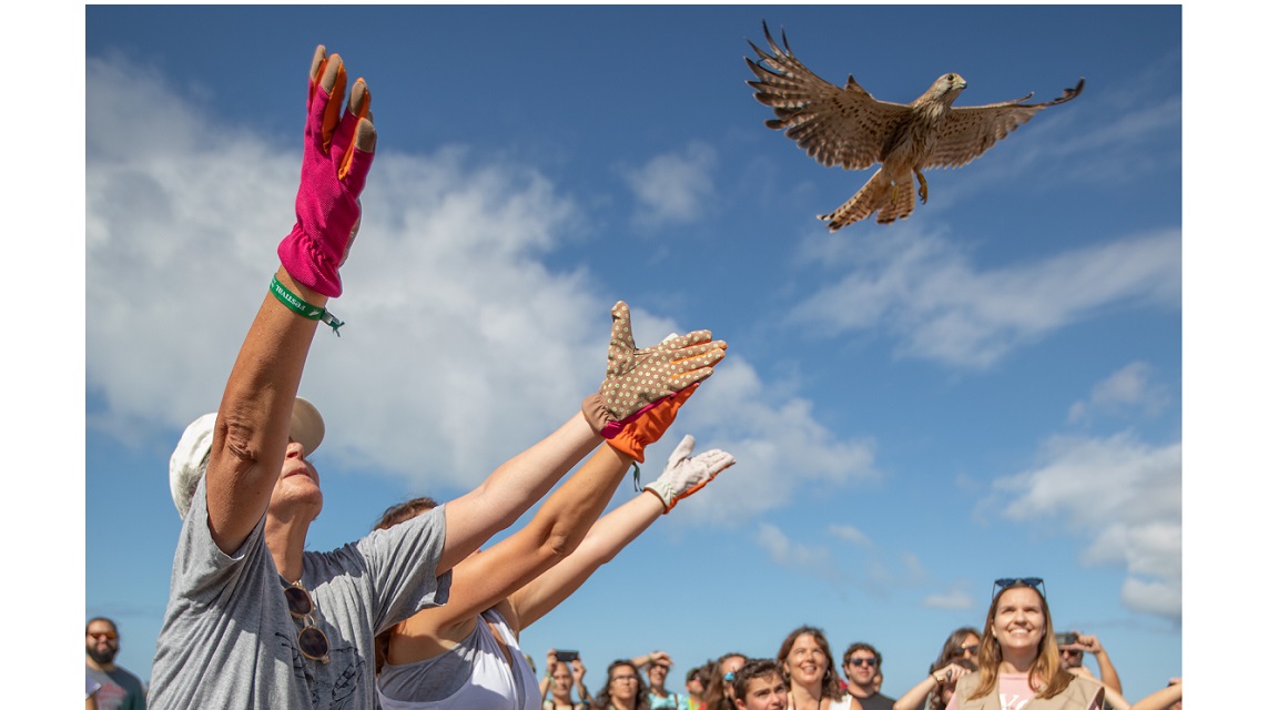 Festival Sagres