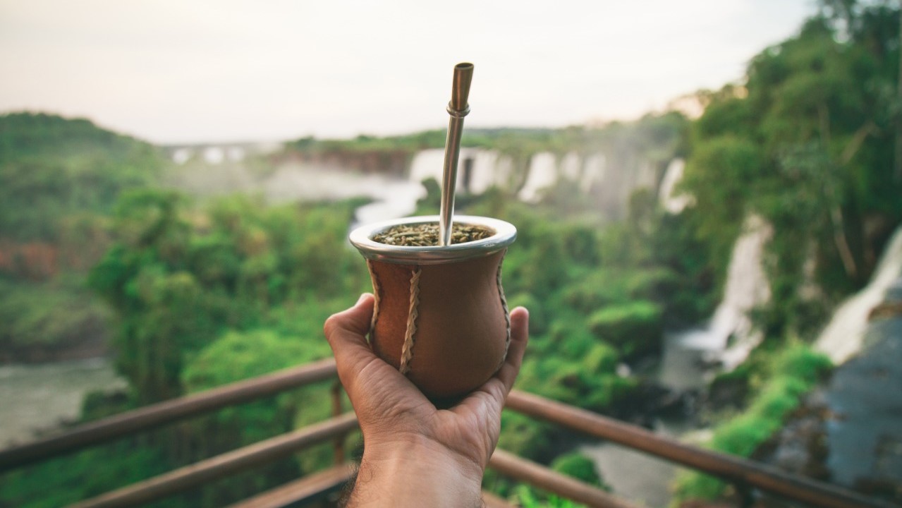 iguazu mate