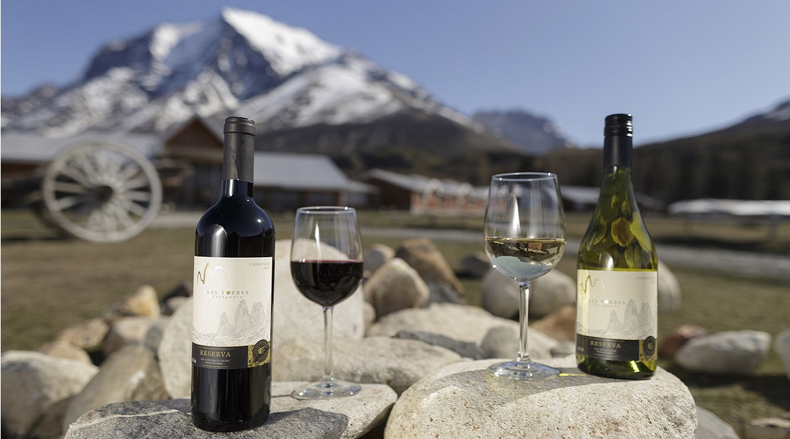 Vinos Patagonia