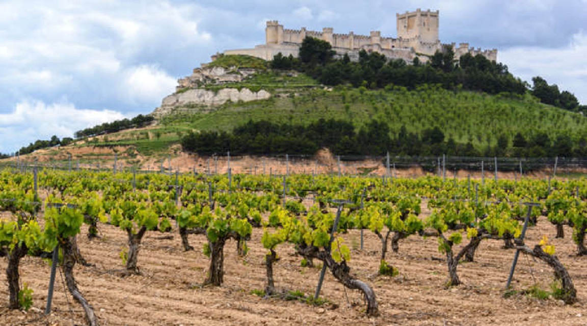 Peñafiel