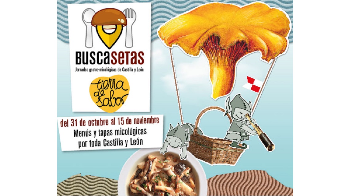 Buscasetas