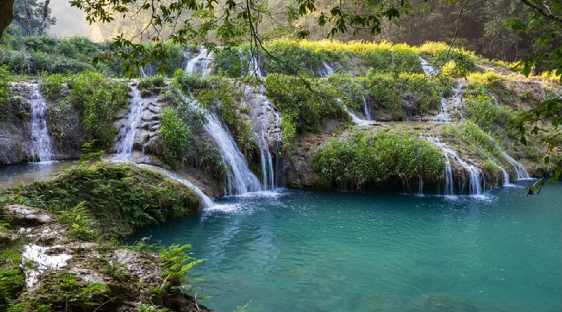 Naturaleza