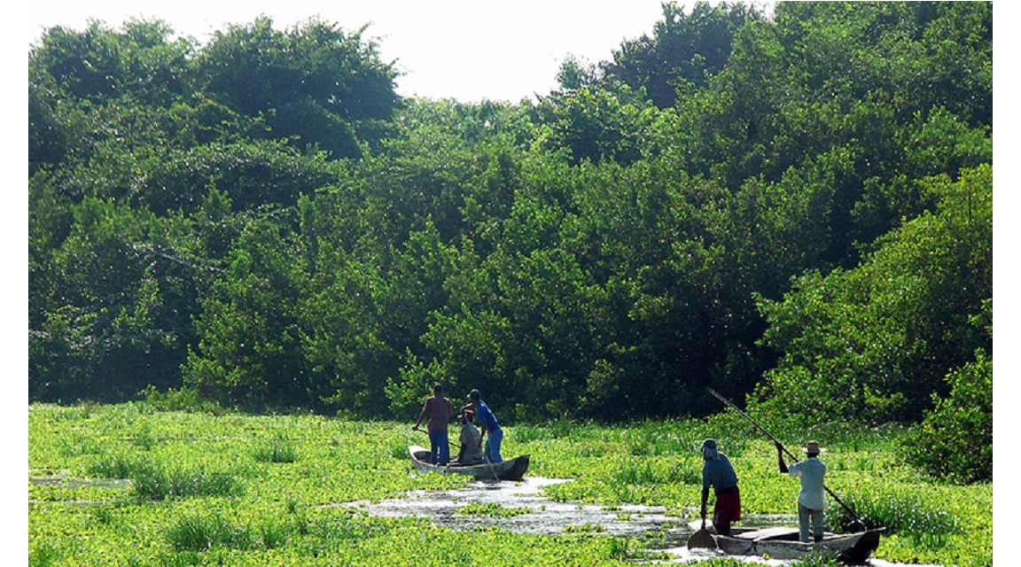 Ecoturismo Colombia