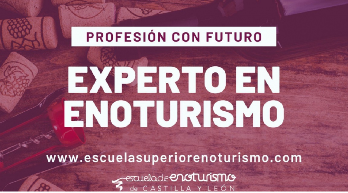 Experto Enoturismo