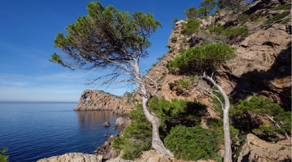 Mallorca Foradada