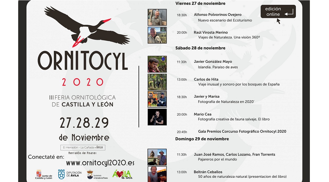 Ornitocyl Virtual