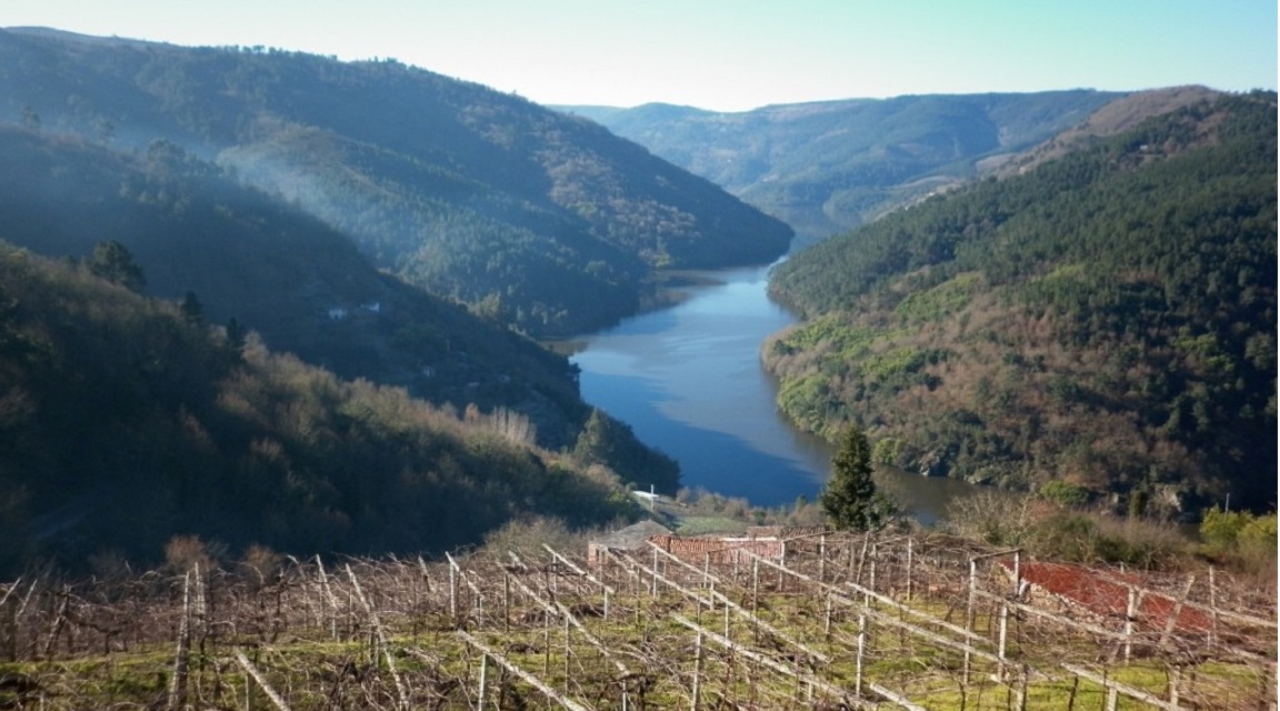 Ribeira Sacra