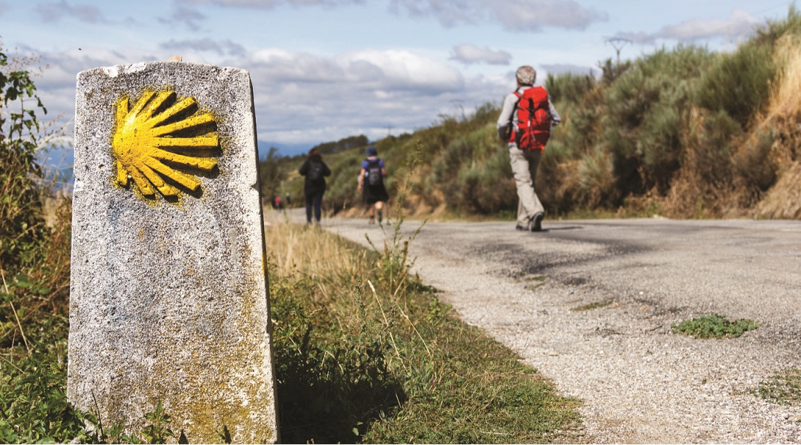 Camino Portugal