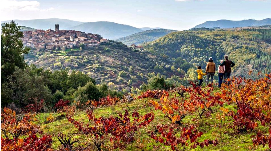 Ruta del Vino Sierra de Francia