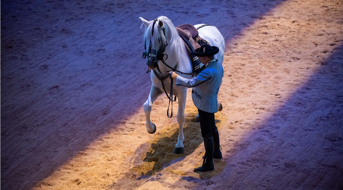 Caballos Andaluces