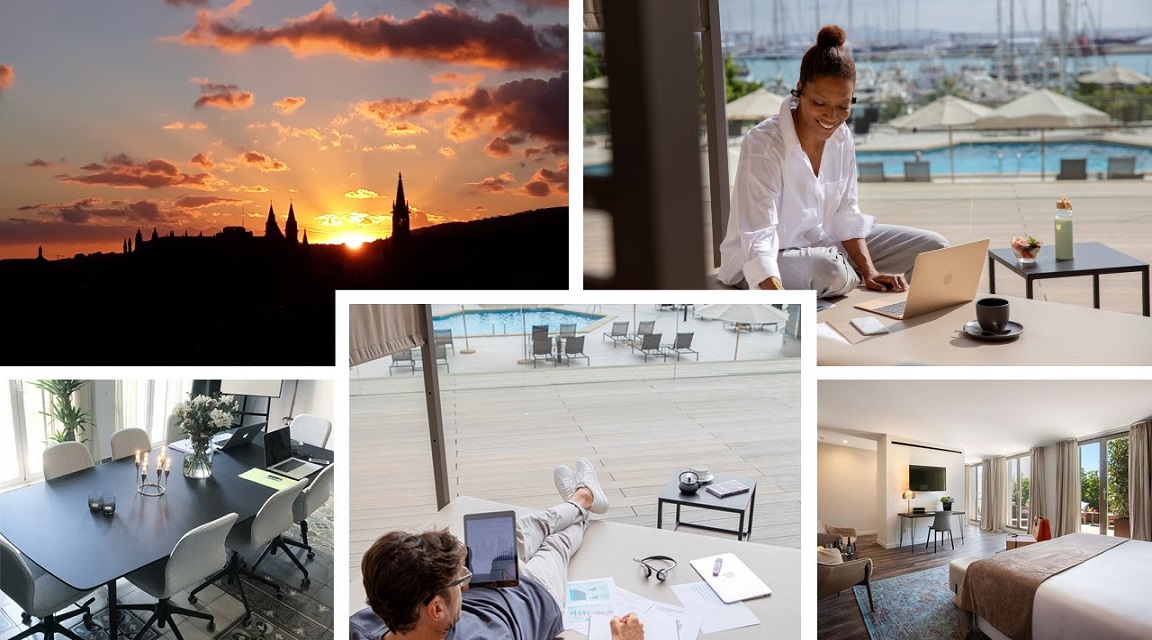 Palma workaction