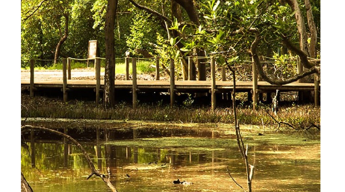 Naturaleza Colombia