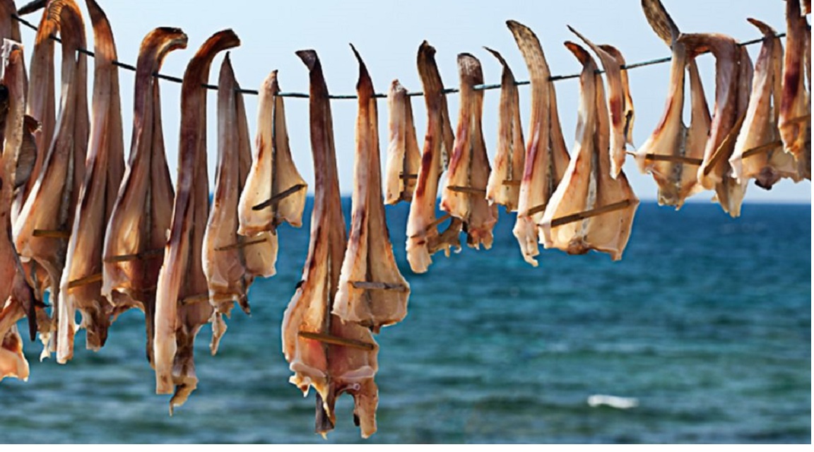 Formentera pescado seco