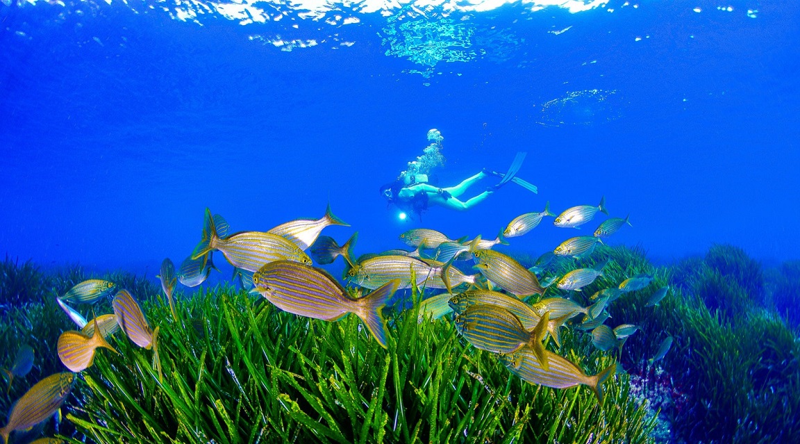 Murcia buceo