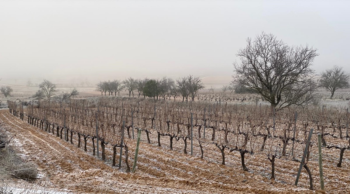 Ribera del Duero