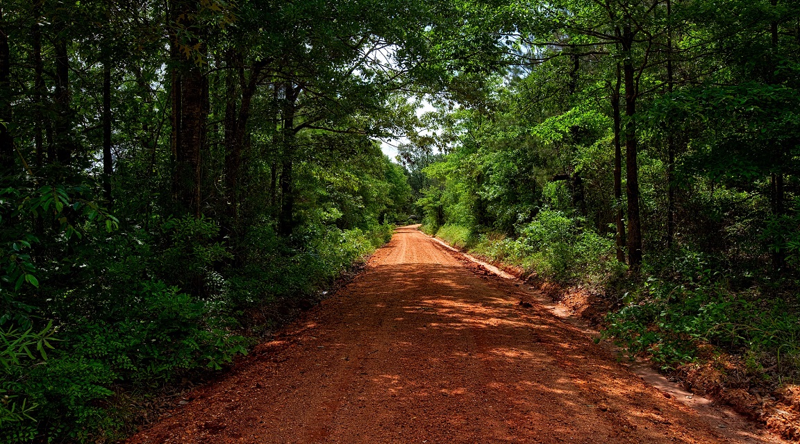 Naturaleza argentina