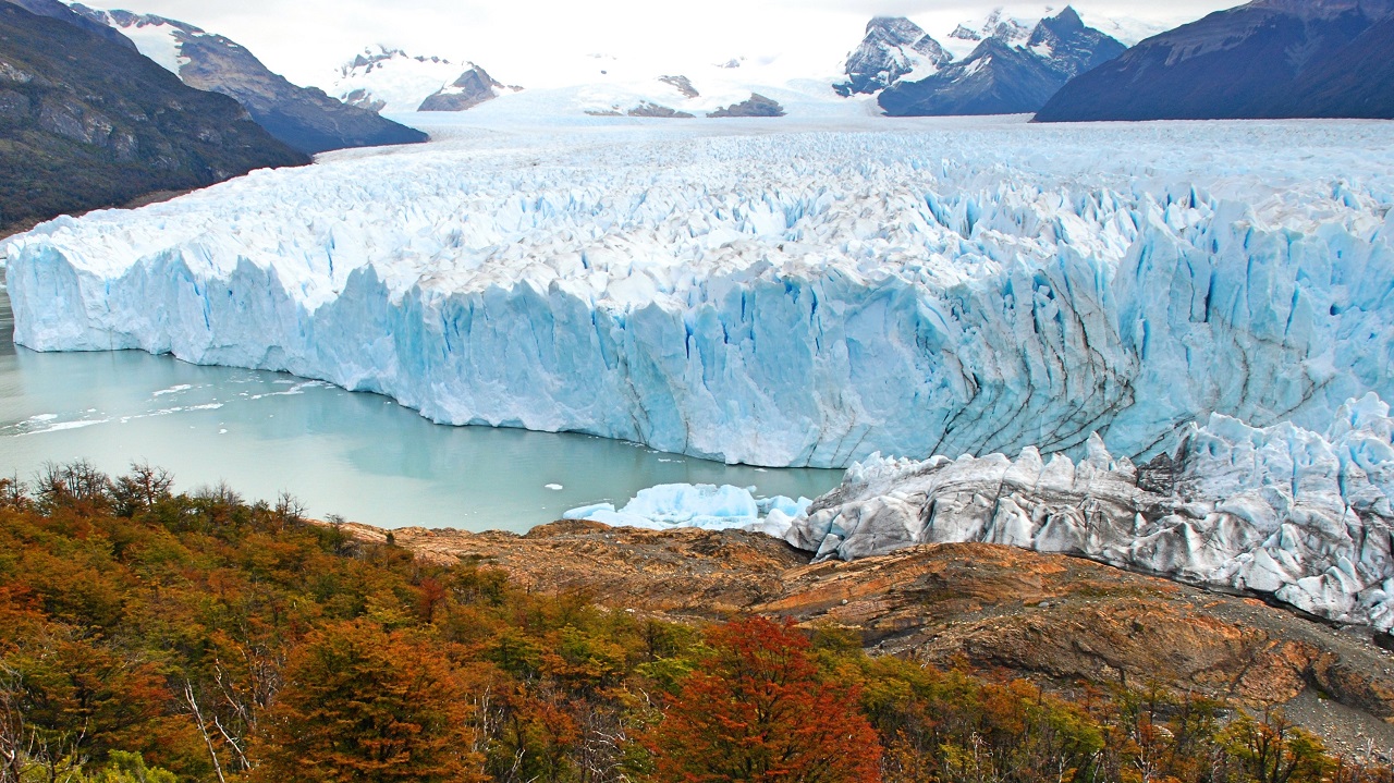 Calafate otoño